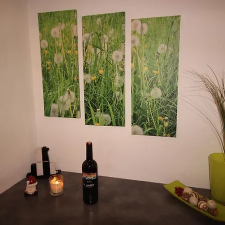 Apartament Romantikstadt Steyr